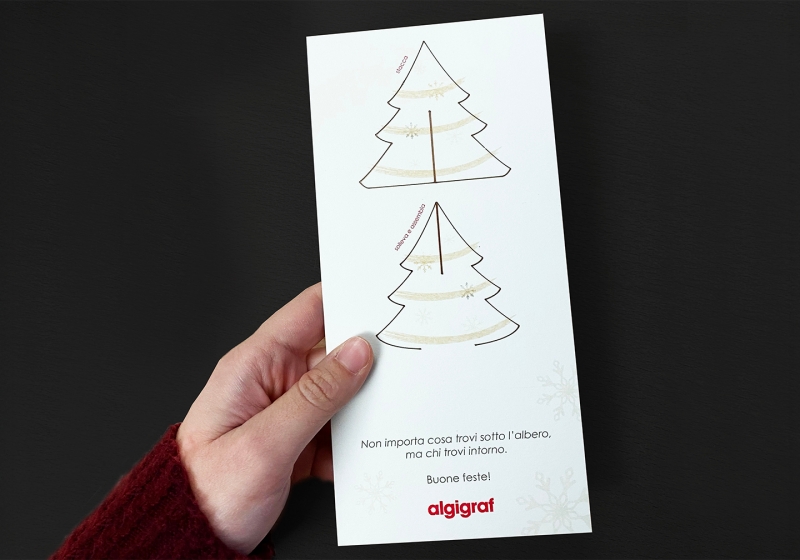 Algigraf