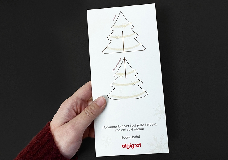 Algigraf